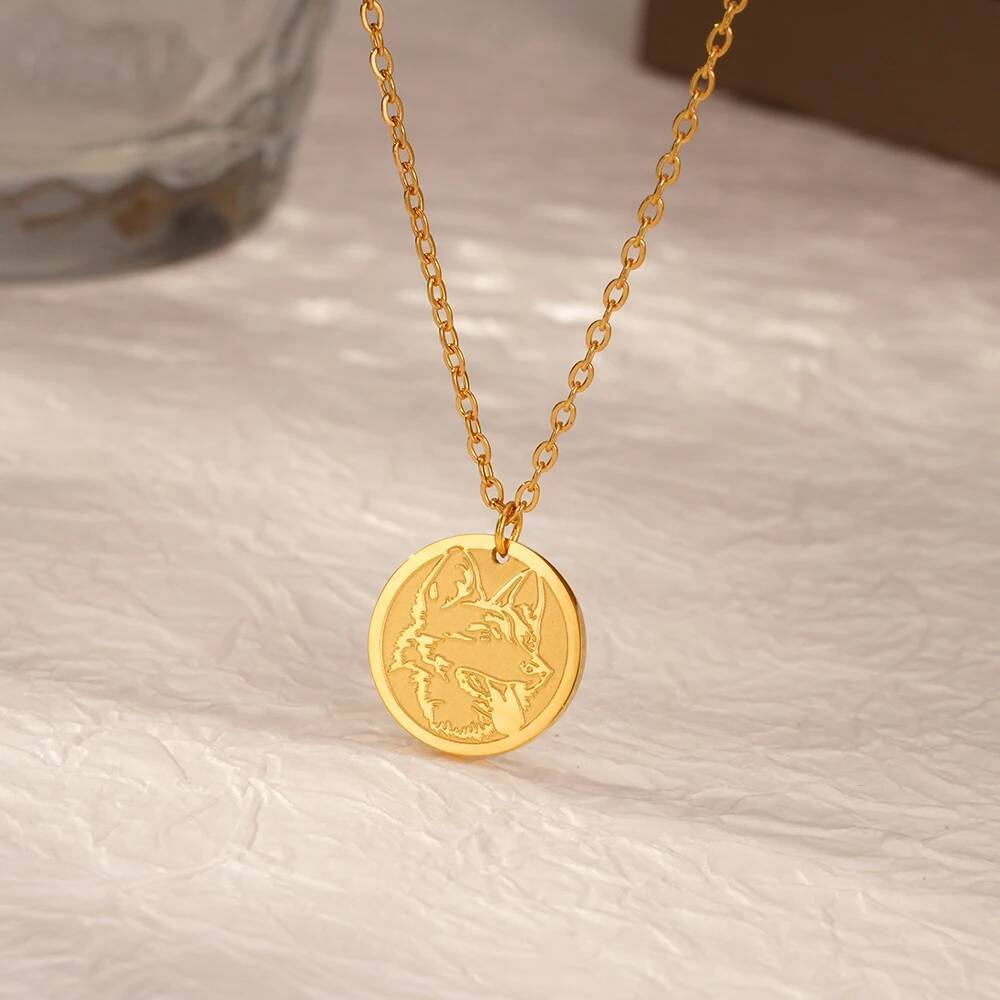 Stainless Steel Fashion Delica - Coin Necklace Delicate recension och pris