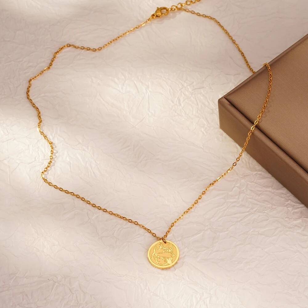 Stainless Steel Fashion Delica - Coin Necklace Delicate recension och pris